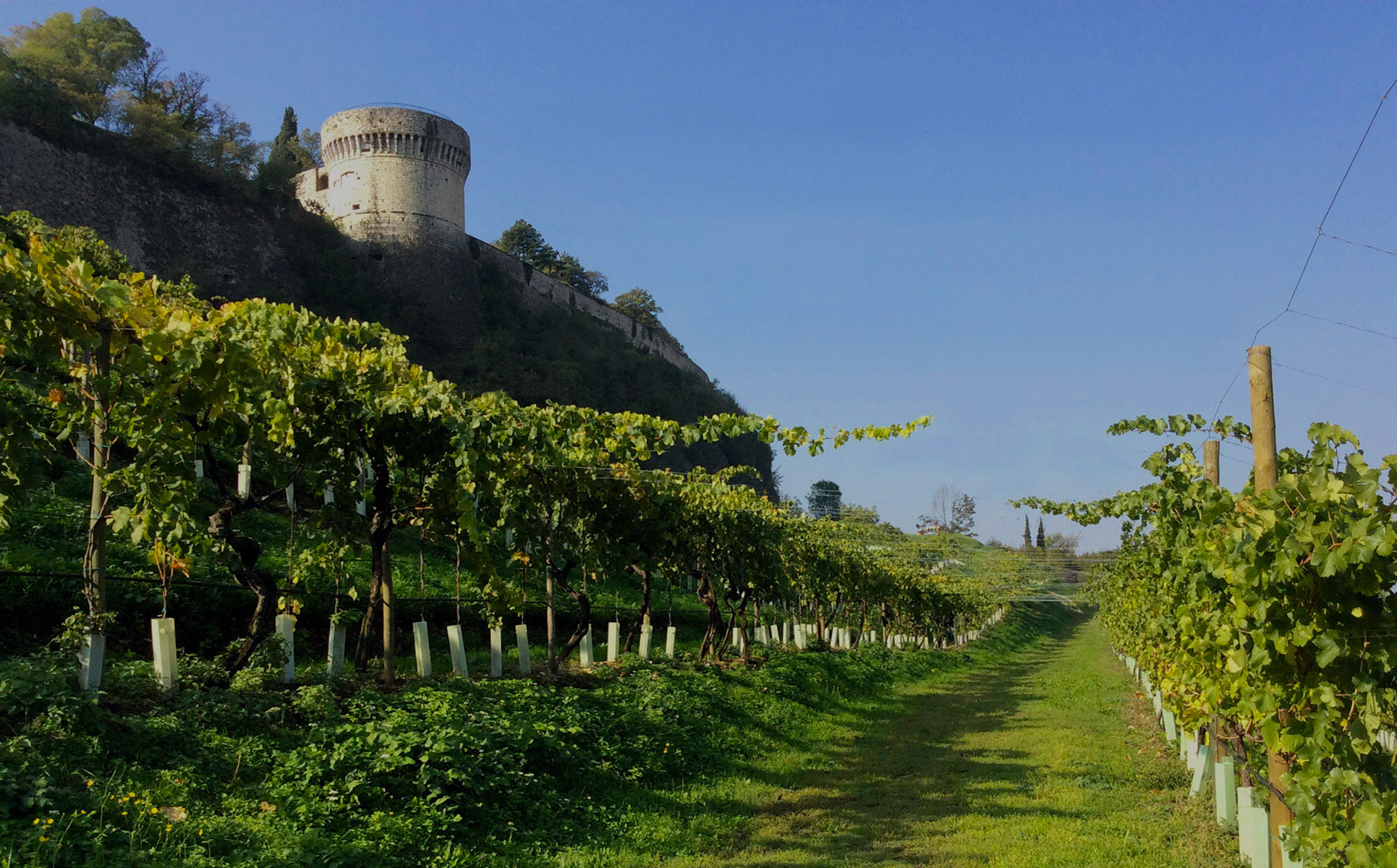 IL MONUMENTO VERDE <br> AI PIEDI DEL CASTELLO